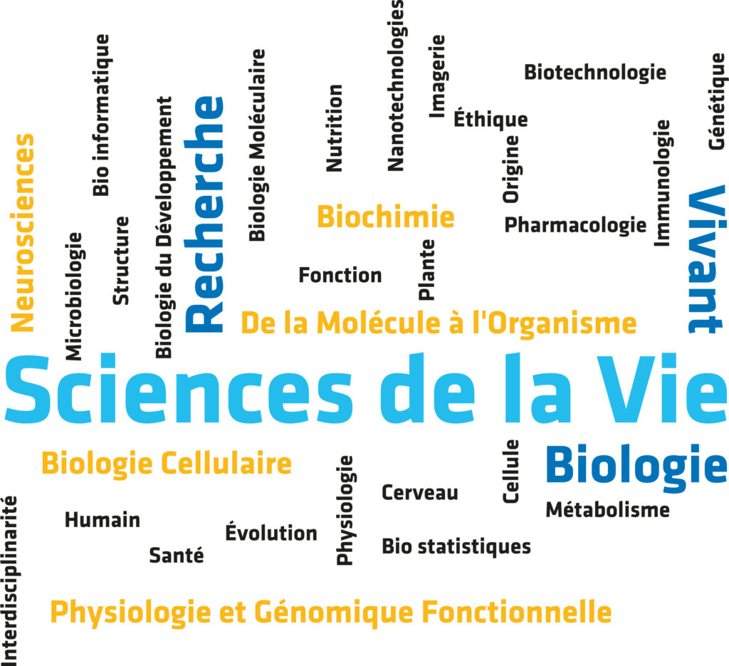 SVT_illustration_nuage-de-mots