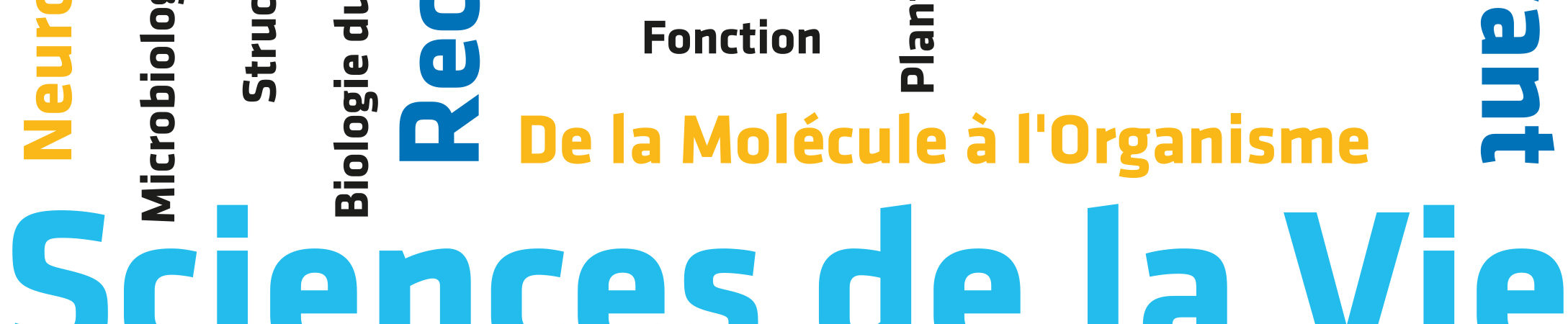 SVT_illustration_nuage-de-mots