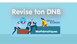 BRNE Maths 3e : réviser le DNB