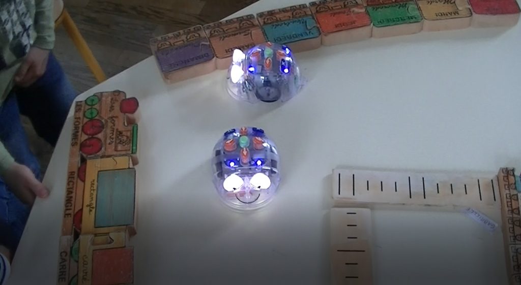 Bluebot en cycle 2 illustration 3